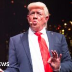 Donald Trump impersonator in demand after US election