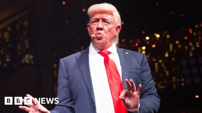 Donald Trump impersonator in demand after US election