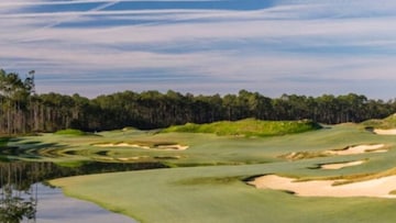 Palmetto Bluff in South CarolinaCurrently under construction, the new course at Palmetto Bluff by Bill Coore and Ben Crenshaw will take golfers through the tapestry of Low Country vegetation in Bluffton, South Carolina. Weaving through live oaks and dangling Spanish moss, the course has gentle rises and falls over terrific sandy ground, which promotes prized playing conditions and drains exceptionally well. The course’s construction is aimed at alleviating crowds at the private community’s existing May River Course, which offers play to guests of the Montage Hotel. Opening in November 2025.