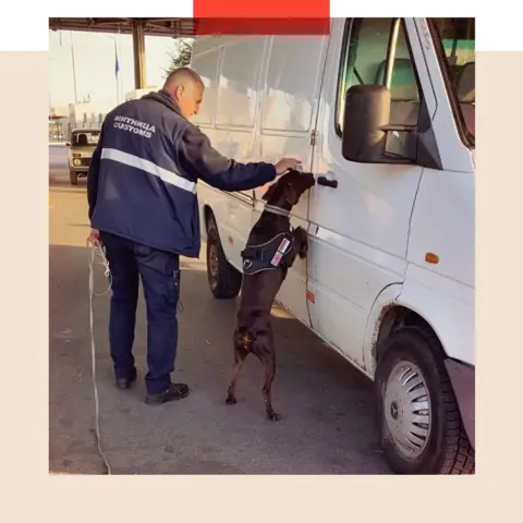 A sniffer dog leaning against a white van