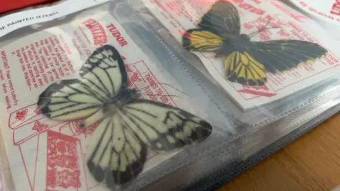 Two delicate, realistic butterfly brooches are stored inside a plastic wallet. One is black and light green, the other black and yellow. Beneath them are instruction sheets, with red text on white paper, including a description of the butterfly and advice on "things to do" with them.