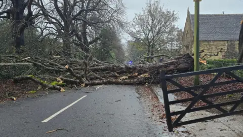 Richard Poulter A large tree across the carriageway. A gate is also flung open to the right of the picture.