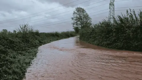 Georgie Marfell A road which is impassible due to flood water. Hedges and shrubbery are seen both sides of the carriageway. The water is filling the carriageway and is brown in colour.