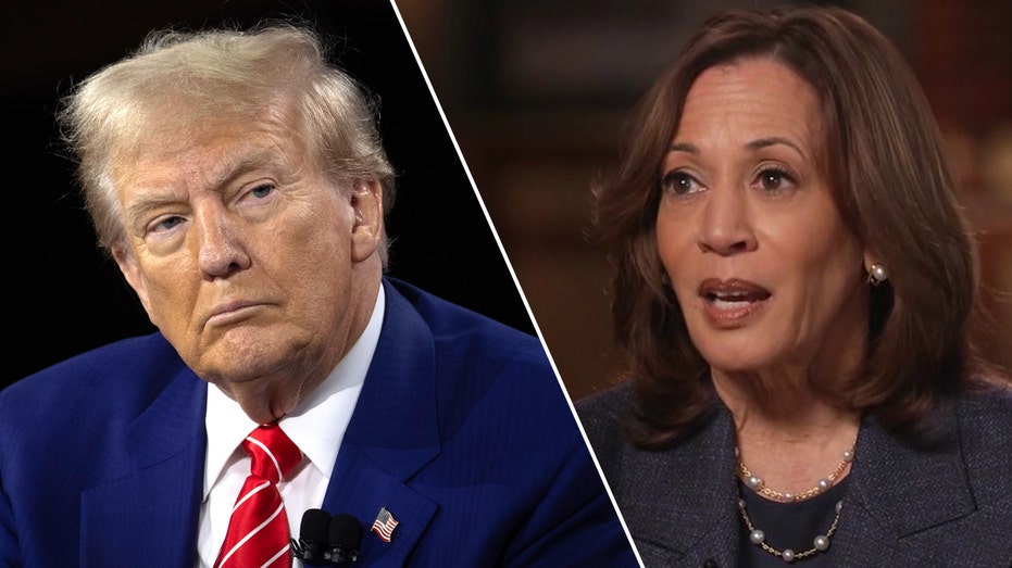 Trump and Harris get economic fact-check