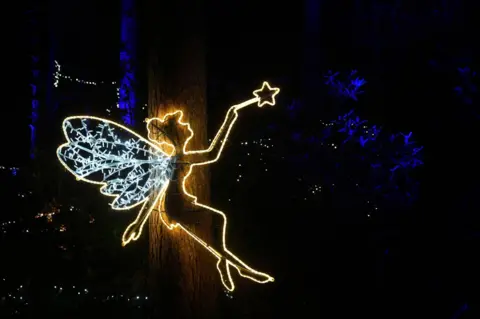 Joe Giddens/PA Media A fairy is illuminated during Luminate Sandringham