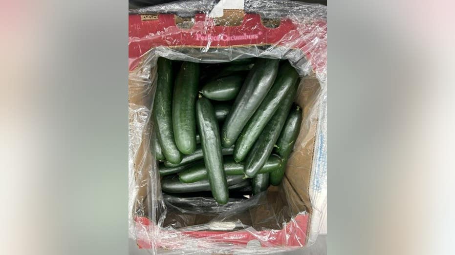 Cucumbers involved in recall