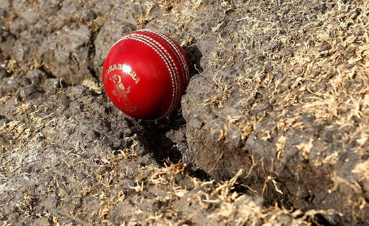 India vs Australia: ‘Snake Cracks’ On Perth Test Pitch? Chief Curator Makes Big Revelation