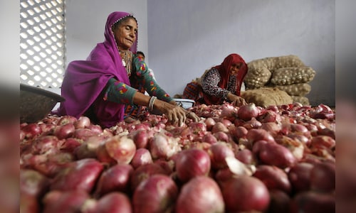 Maharashtra Election 2024: Onion farmers demand more than just export relaxations ahead of state polls