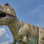 Fossilised Dinosaur Droppings Could Reveal Secrets Behind Their Evolution into a Dominant Species, Says Study