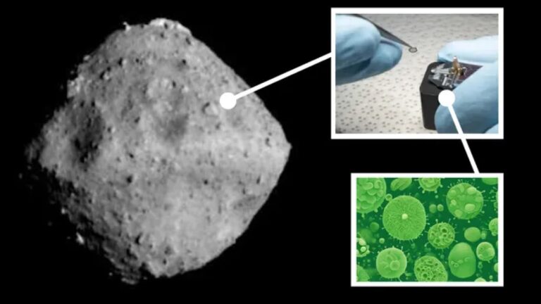 Earth Microbes Discovered in Asteroid Ryugu Sample, Raises Contamination Concerns