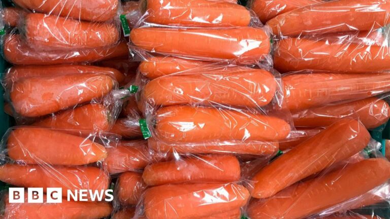 Organic carrots recalled in US after deadly E. coli outbreak