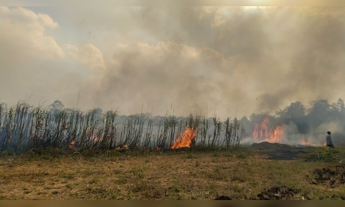 Punjab reports highest single-day farm fires this season at 1,251