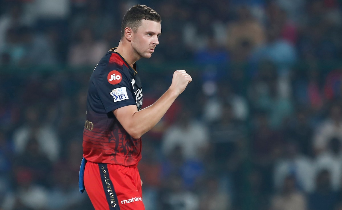 IPL Auctions: RCB Batting Coach Dinesh Karthik Delighted With Josh Hazlewood’s Return