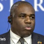 David Lammy plays down criticism of Chagos Islands deal