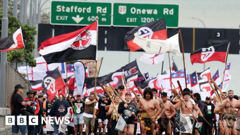 Maori protest as hikoi reaches Wellington