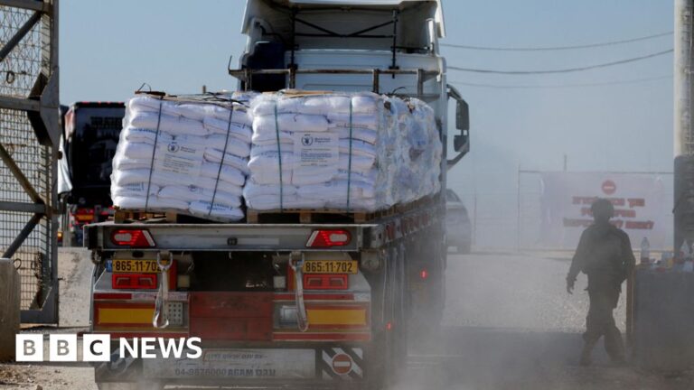 Almost 100 Gaza aid lorries violently looted, UN agency Unrwa says