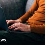 NI adults UK’s most likely to view sites online