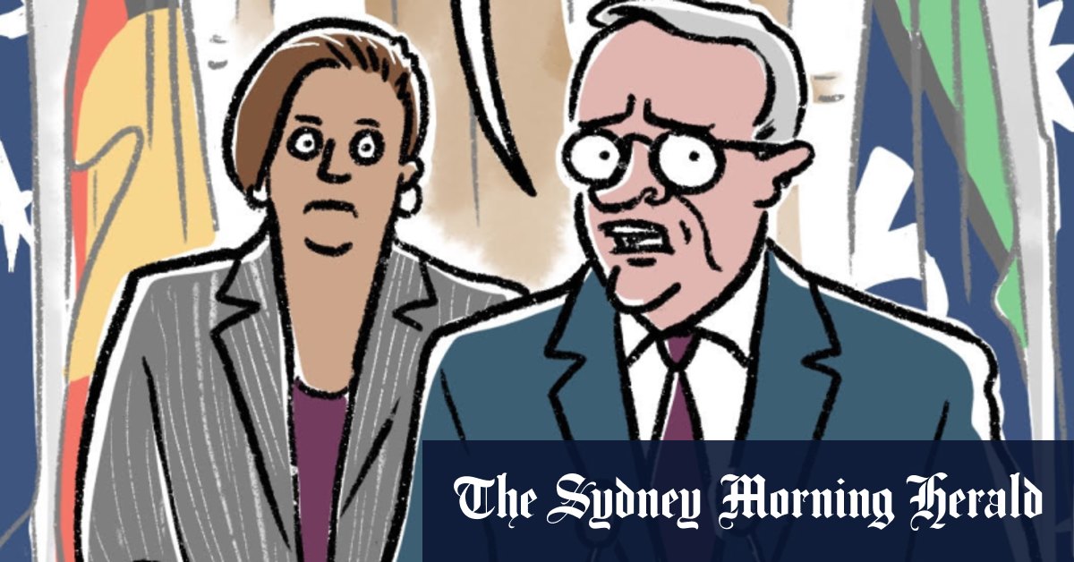 Megan Herbert of SMH and The Age wins 2024 political cartoonist of the year award