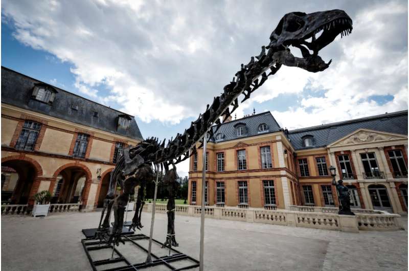 The buyer has pledged to donate the apatosaurus nicknamed Vulcan to a museum