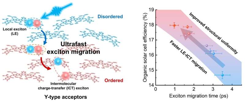 Engineering ultrafast exciton dynamics to boost organic photovoltaic performance