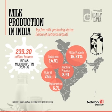 Daily Data