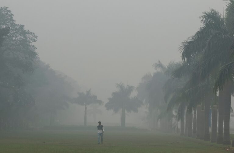 Schools Go Online, No Entry For Trucks As Delhi Air Pollution Worsens