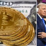 Trump may create new crypto policy role or czar