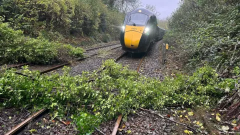 GWR A GWR train is seen stopped on a line in Devon as there are fallen tree branches in front of it