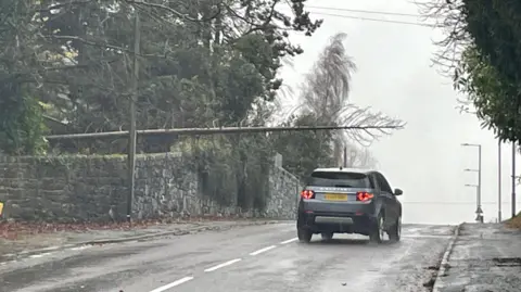 BBC A fallen tree hangs over a wall alongside a main road that a range rover is driving down