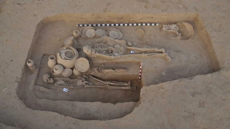 Ancient DNA Study Shows How Early Europeans Adapted Over 7,000 Years