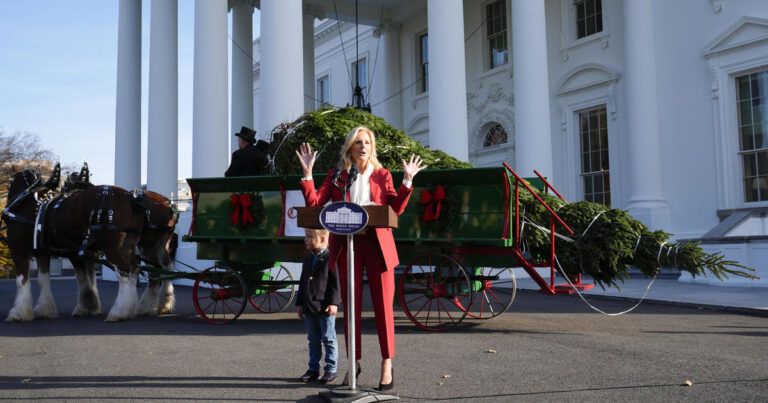 A family Christmas tree farm lost thousands of trees in Helene. This one survived and went to the White House