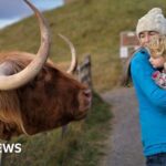 Your pictures on the theme of ‘autumn walks’