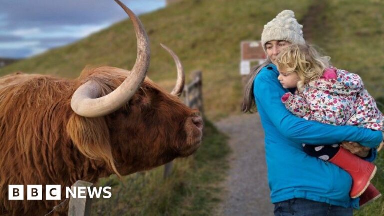 Your pictures on the theme of ‘autumn walks’