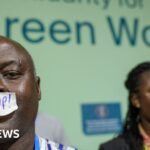 Five key takeaways from COP29