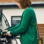 Electric car sales targets could be eased as demand flags