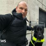 ‘Refused service again with my guide dog, I’m done speaking out’