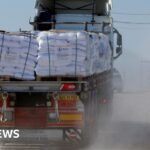 Gangs and ‘ultra-violence’ blocking south Gaza aid distribution