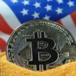 Donald Trump Appoints Bo Hines as Executive Director of US Crypto Council: All You Need to Know