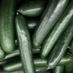 SunFed cucumbers sold in U.S. and Canada recalled due to salmonella