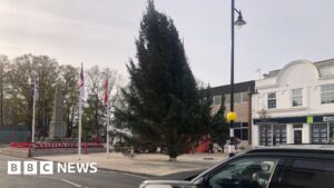 Fenland town’s wonky Christmas tree wish comes true