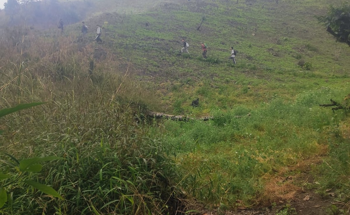 Manipur Cops Walk 3 Hours To Raze Illegal Poppy Farms In Kangpokpi, Face 90 Armed Miscreants, Turn Back, Says FIR