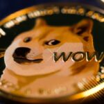 Dogecoin Foundation Seeks Funding to Develop ‘Dogebox’: Details  