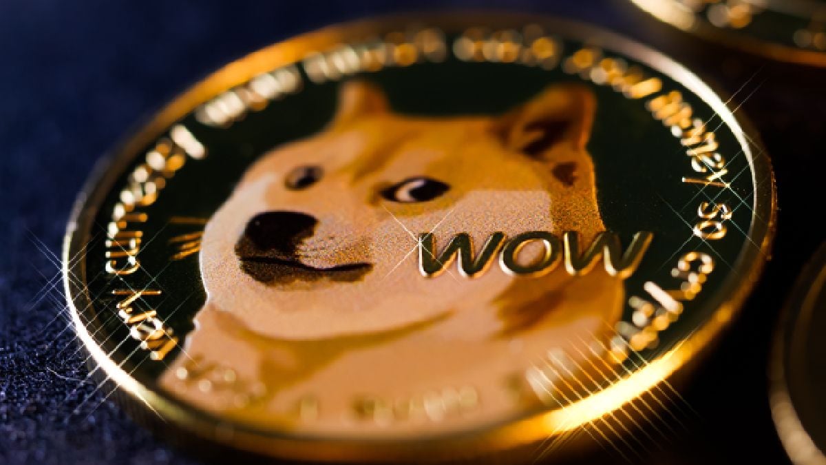 Dogecoin Foundation Seeks Funding to Develop ‘Dogebox’: Details  