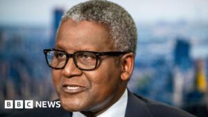 Nigeria’s richest man Aliko Dangote takes on the ‘oil mafia’