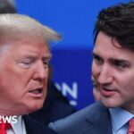 Canada, Mexico and China respond to Trump tariff threats