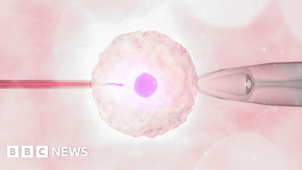 More single women and female couples having IVF