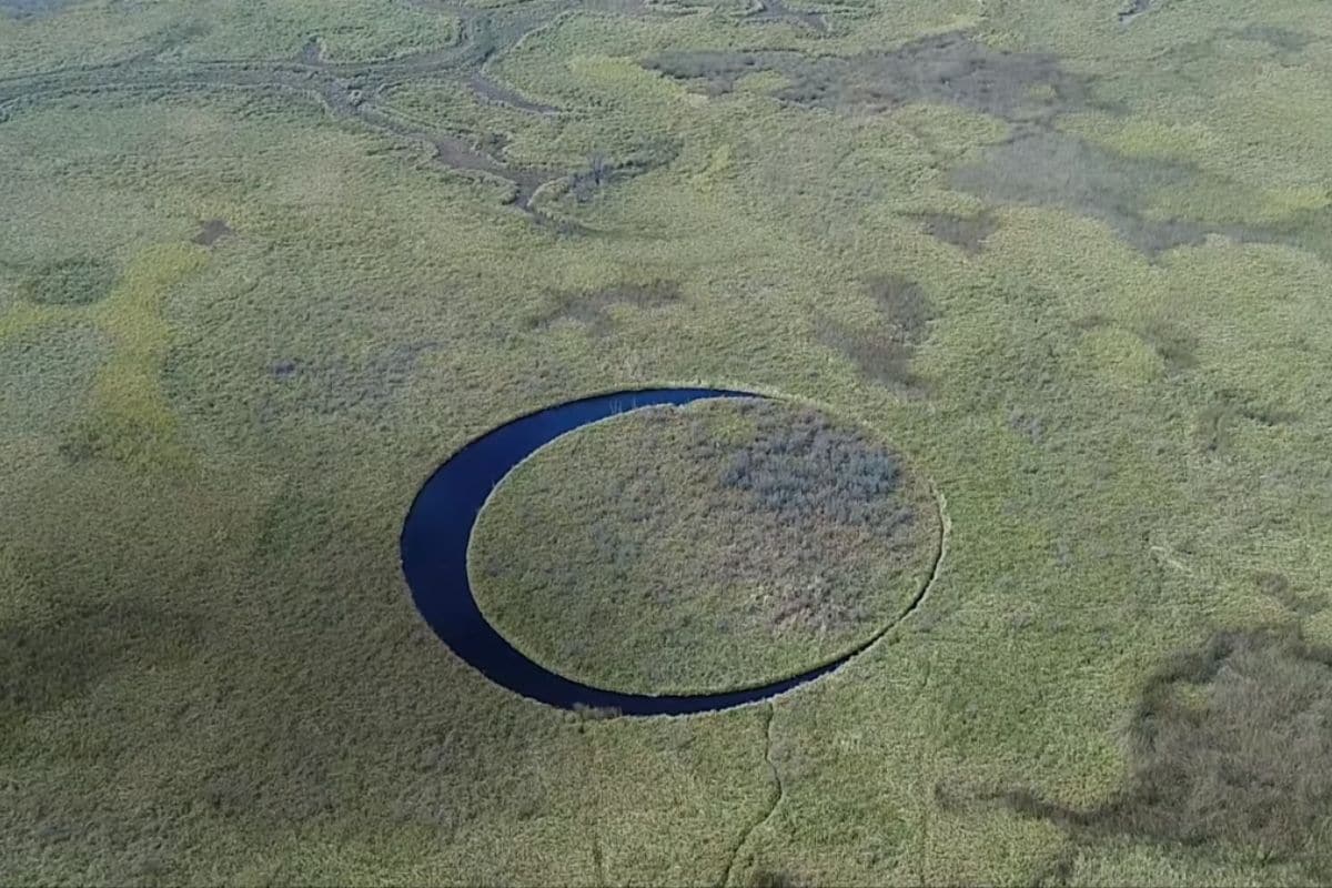 El Ojo: Everything You Need to Know About the Mysterious Floating Island in Argentina’s Swamps