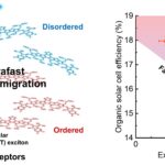 Engineering ultrafast exciton dynamics to boost organic photovoltaic performance