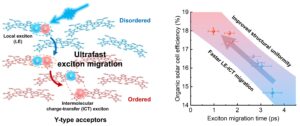 Engineering ultrafast exciton dynamics to boost organic photovoltaic performance