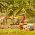 Union Cabinet approves National Mission on Natural Farming with outlay of ₹2,481 crore